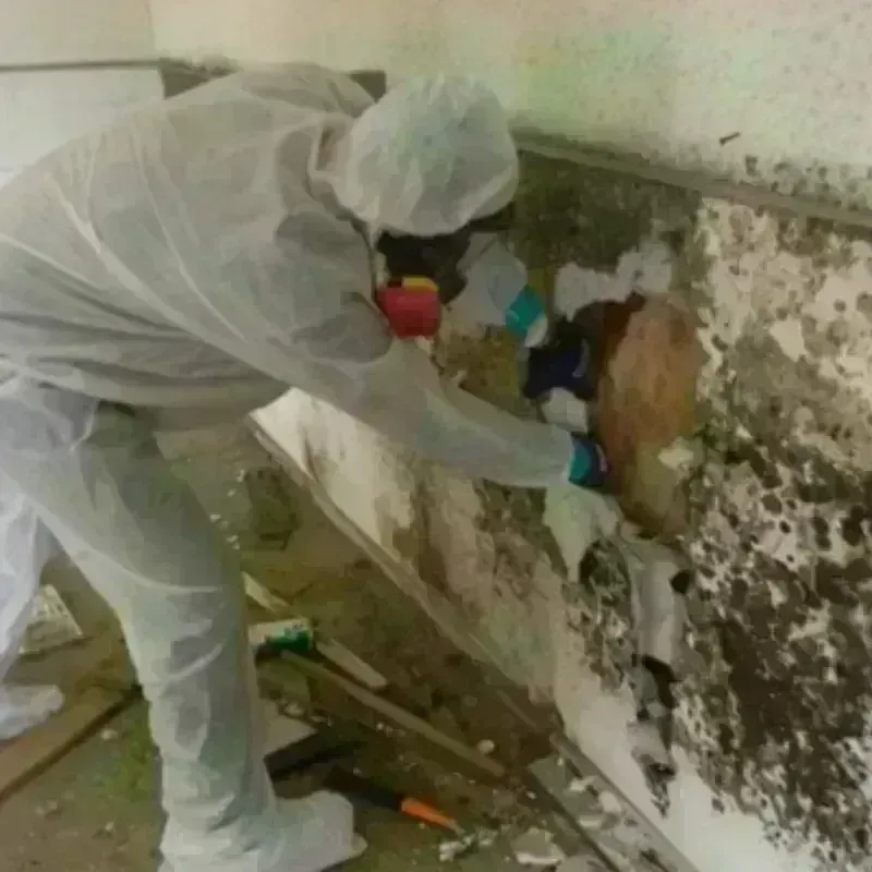 Mold Remediation and Removal in Piscataway, NJ