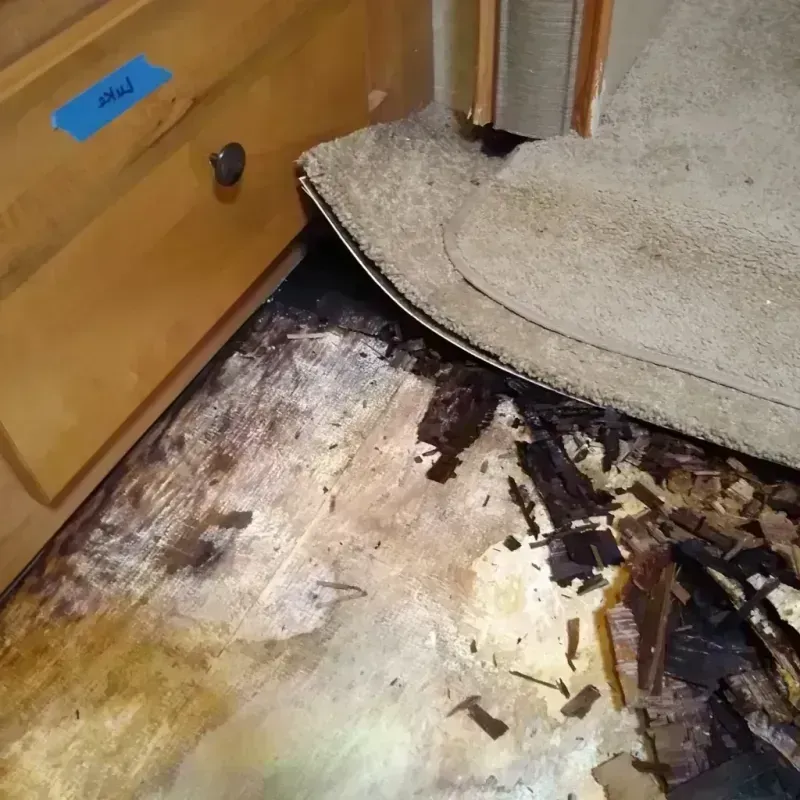 Wood Floor Water Damage in Piscataway, NJ